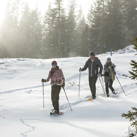 Falkensteiner & Carinzia L 4 Star Superior