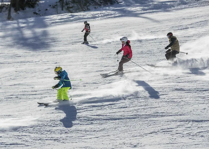 Falkensteiner & Carinzia L 4 Star Superior Tropolach