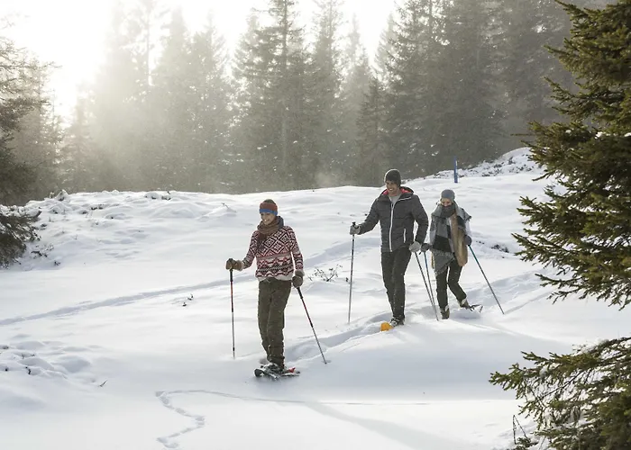 Falkensteiner & Carinzia L 4 Star Superior